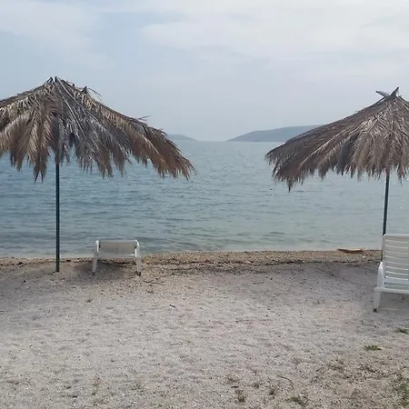 Petrovic 트로기르